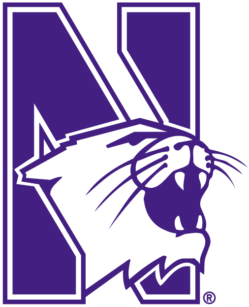 Northwestern Wildcats 1981-Pres Alternate Logo diy fabric transfer